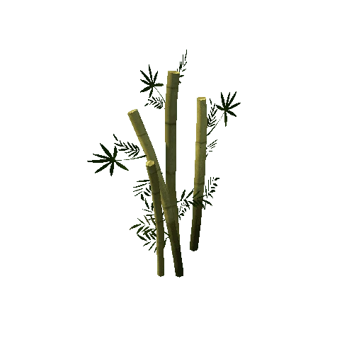 Bamboo Tree_002